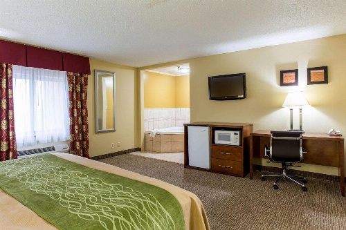 Comfort Inn Columbia - Bush River image 1