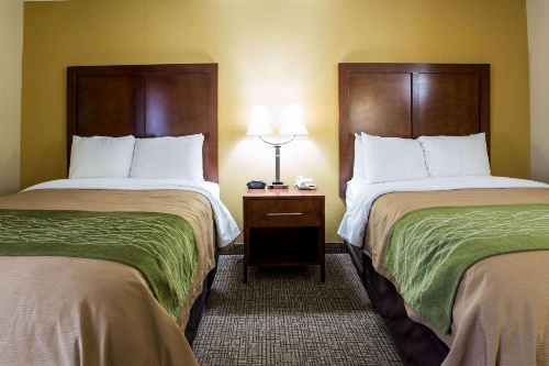 Comfort Inn Columbia - Bush River image 15