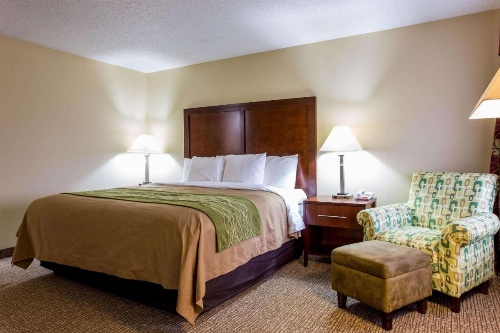 Comfort Inn Columbia - Bush River image 17