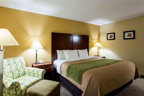 Comfort Inn Columbia - Bush River image 20