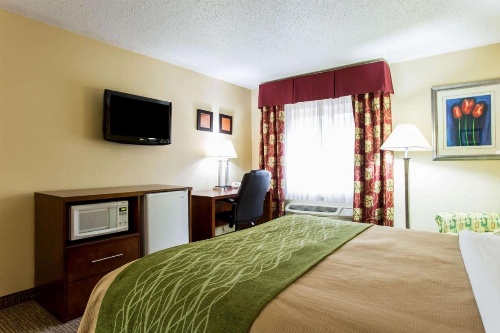 Comfort Inn Columbia - Bush River image 23