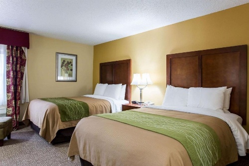 Comfort Inn Columbia - Bush River image 25