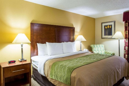 Comfort Inn Columbia - Bush River image 8
